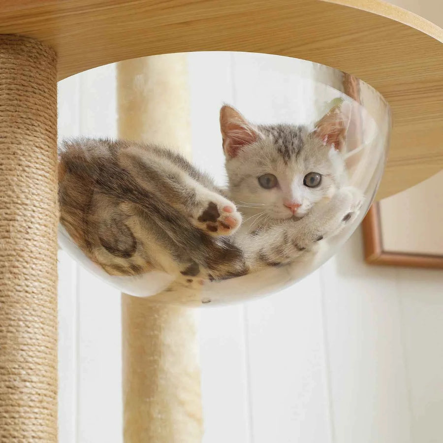 Arbre à chat xxl en bois