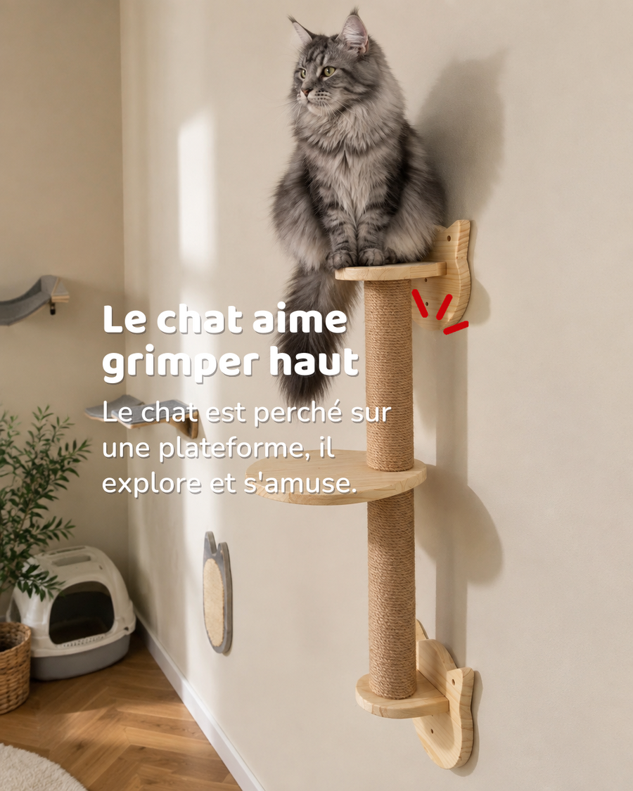 Arbre à chat mural maine coon