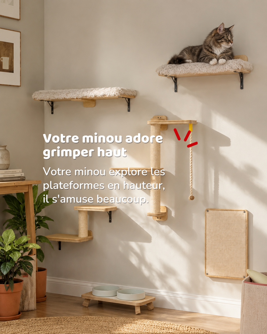 Arbre à chat bois mural