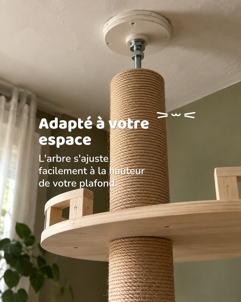 Arbre à chat géant fixation plafond