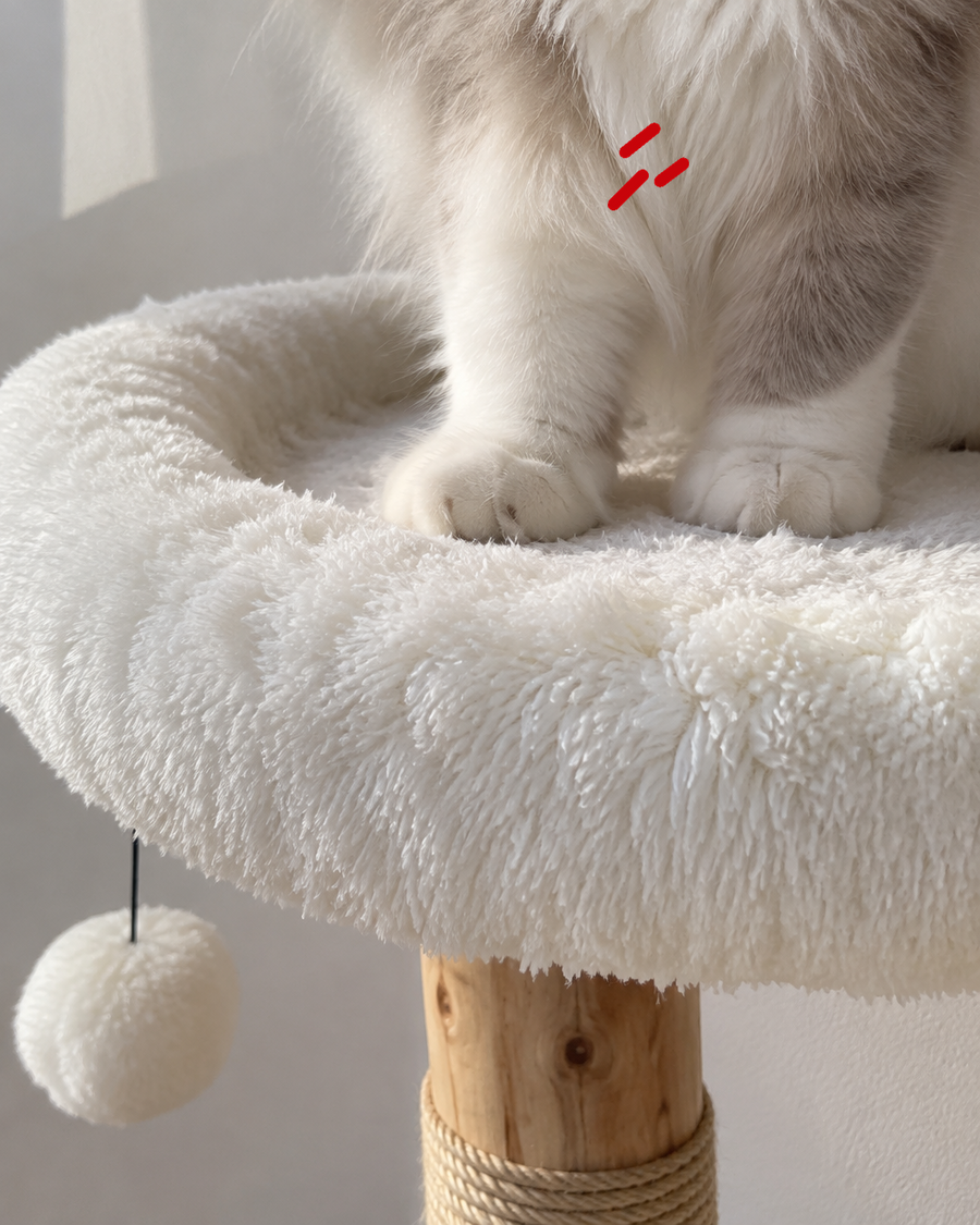 Arbre à chat tronc naturel