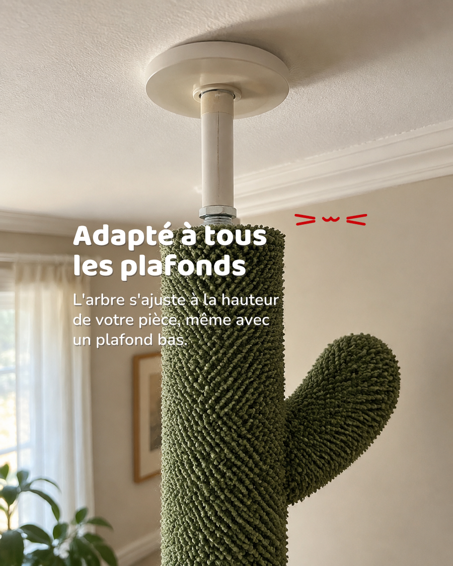 Arbre à chat original bois