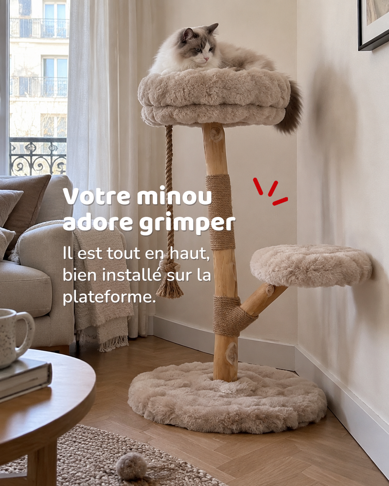 Arbre a chat branche