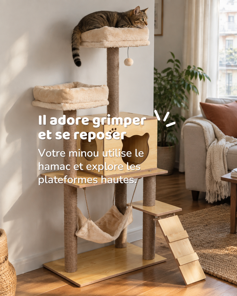 Arbre à chat extérieur bois