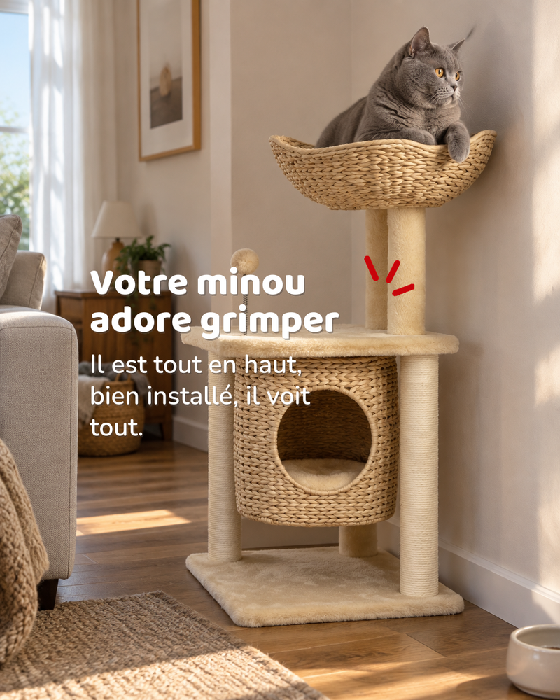 Arbre à chat design naturel