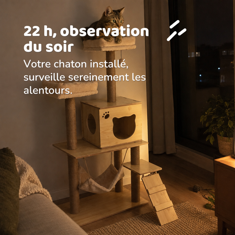 Arbre à chat extérieur bois
