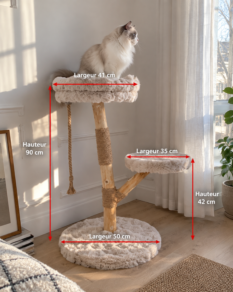 Photo · 4 — arbre a chat branche