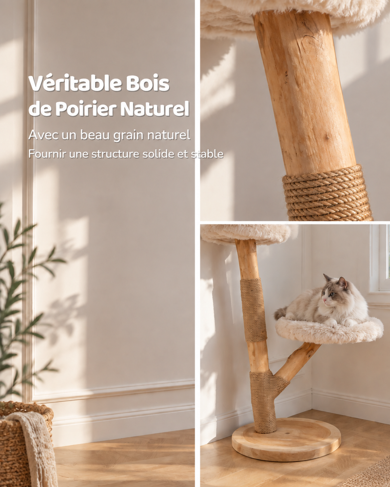 Photo · 5 — arbre a chat branche