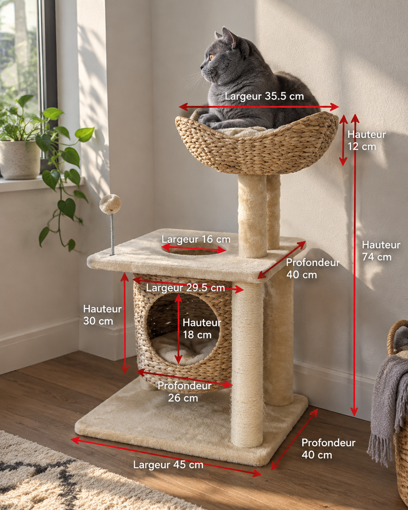 Photo · 6 — arbre à chat design naturel