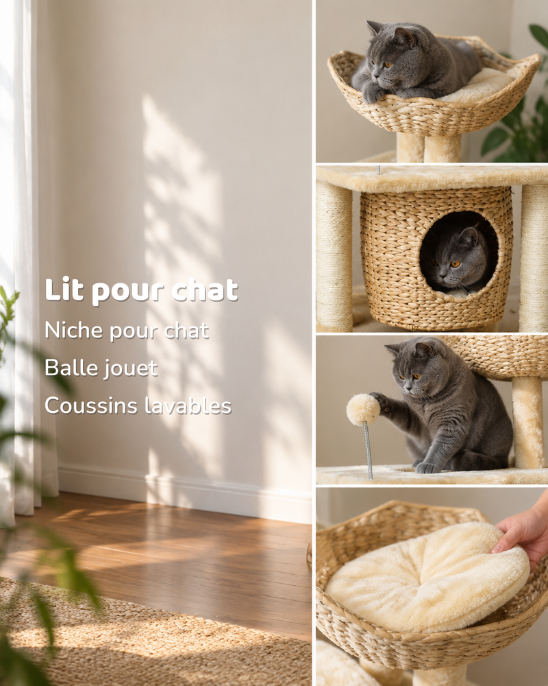 Arbre à chat design naturel