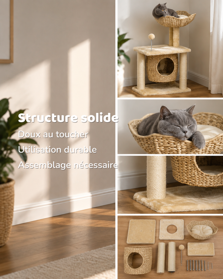 Arbre à chat design naturel