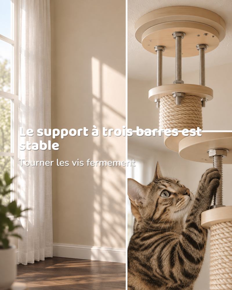 Arbre à chat gros tronc