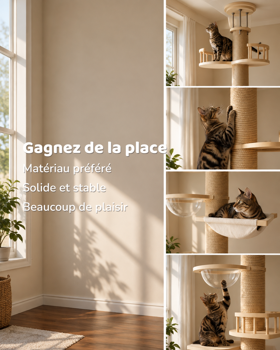 Arbre à chat gros tronc