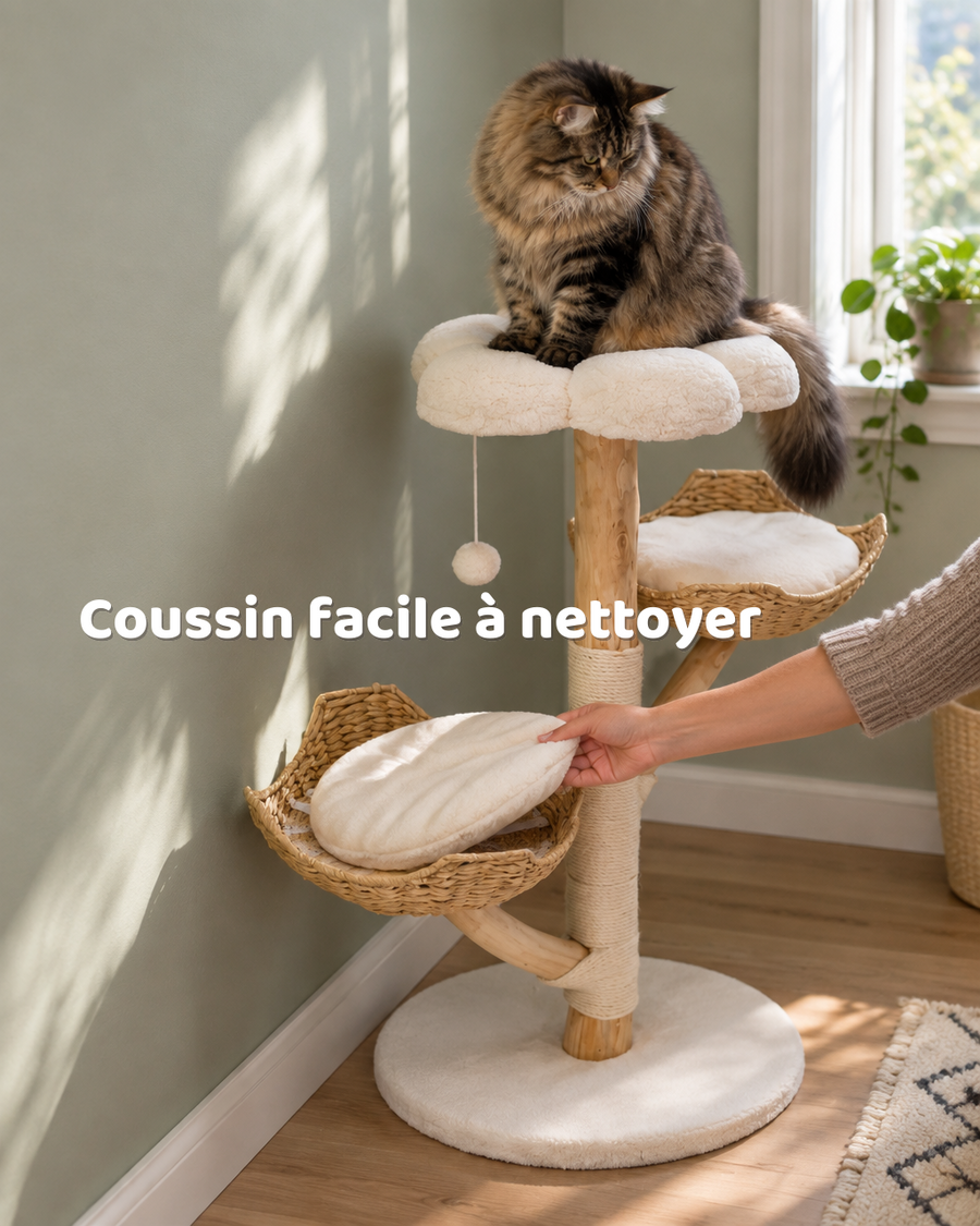 Arbre à chat en bois naturel