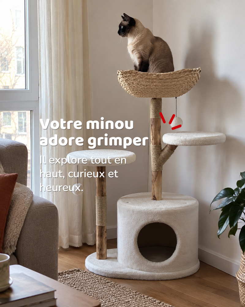Arbre à chat bois flotté