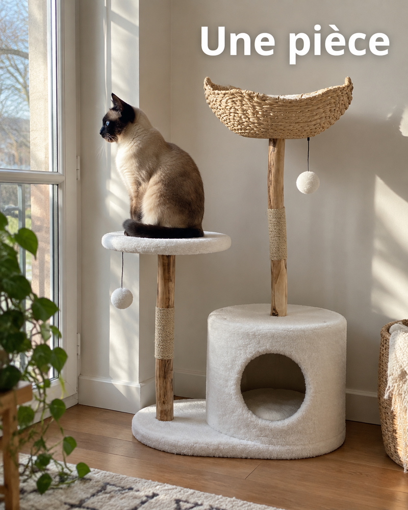 Variante · 1 Platform / Poland — arbre à chat bois flotté