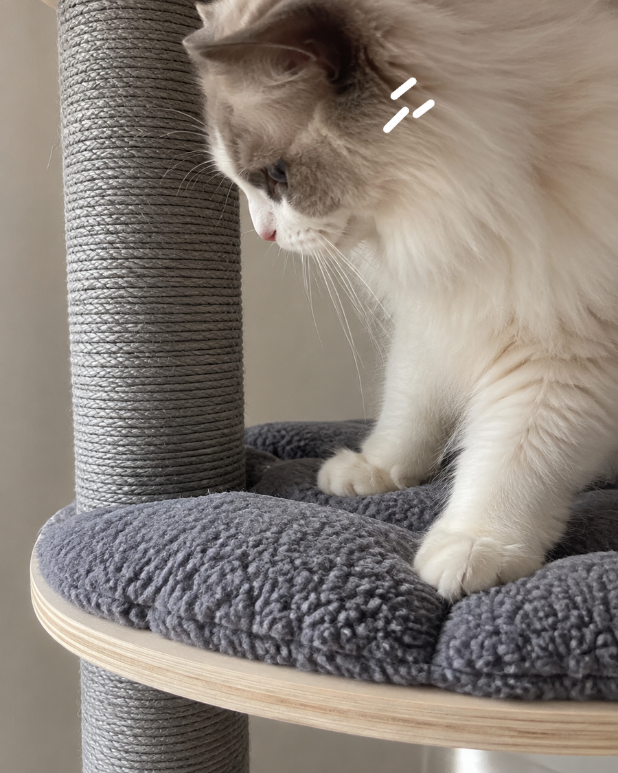 Il va s'effondrer sous le poids du chat. · FXC4PK2B70Z2P0 — arbre a chat plafond design