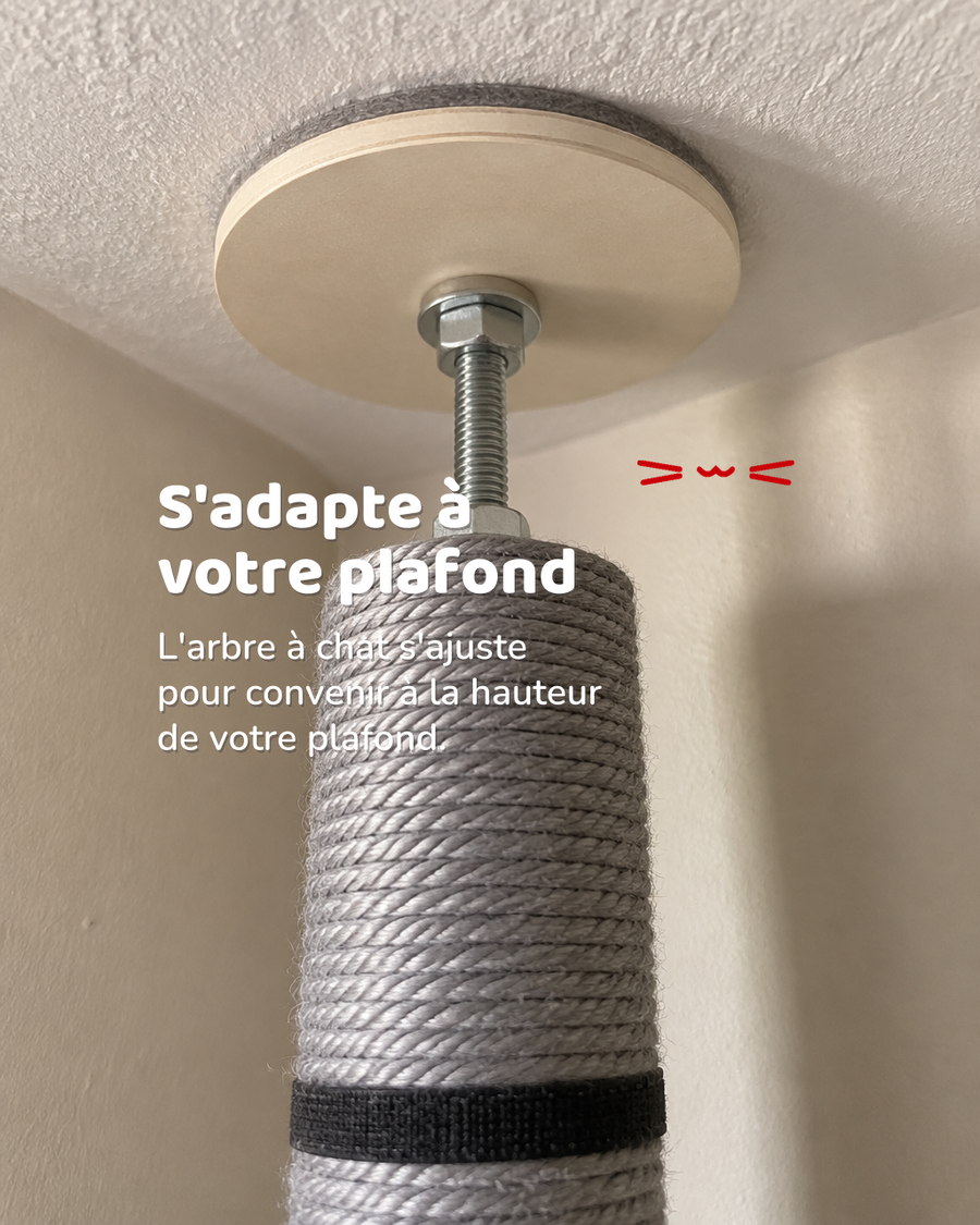 Arbre a chat plafond design