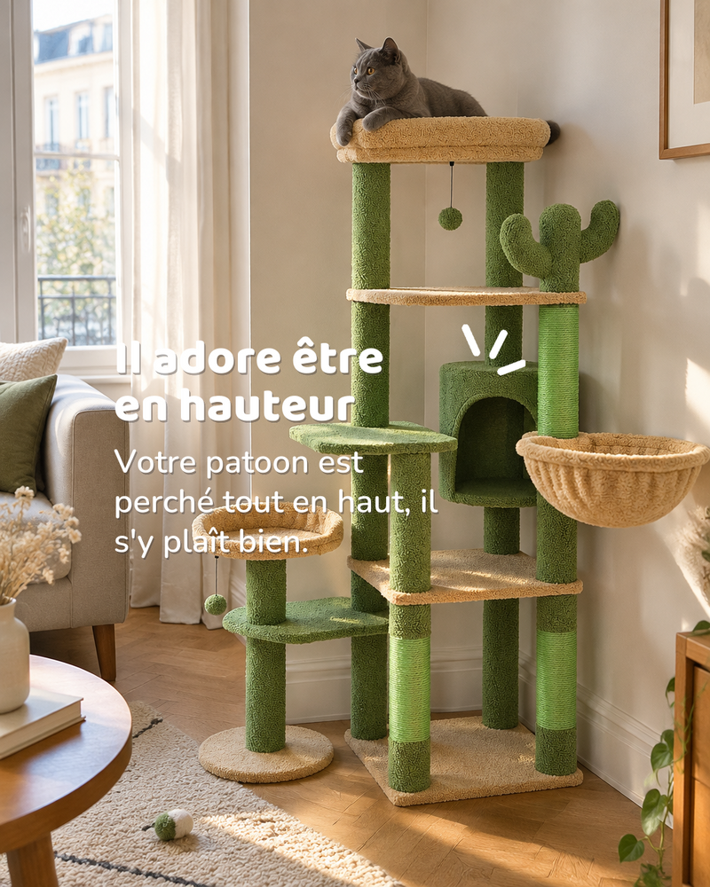 Arbre a chat cactus