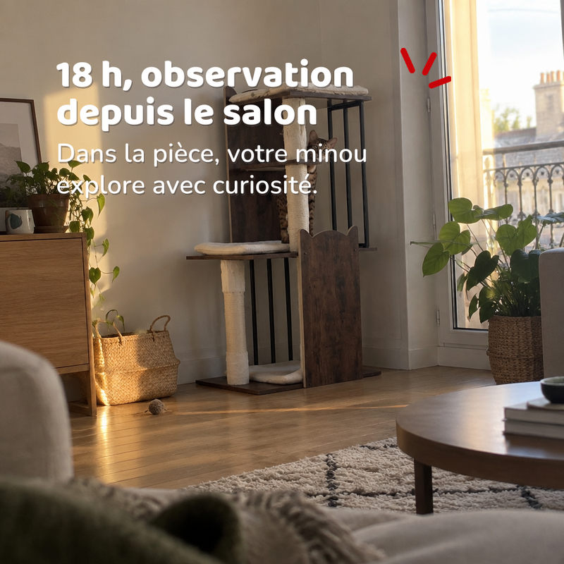 Arbre à chat design luxe