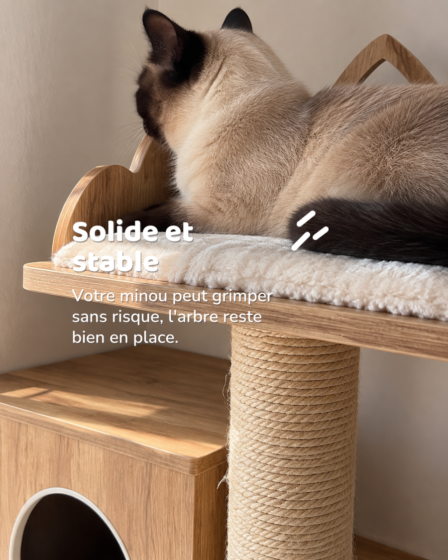 Solide et stable — arbre a chat solide