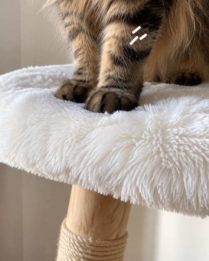 Il va s'effondrer sous le poids du chat. · army green — arbre a chat de luxe