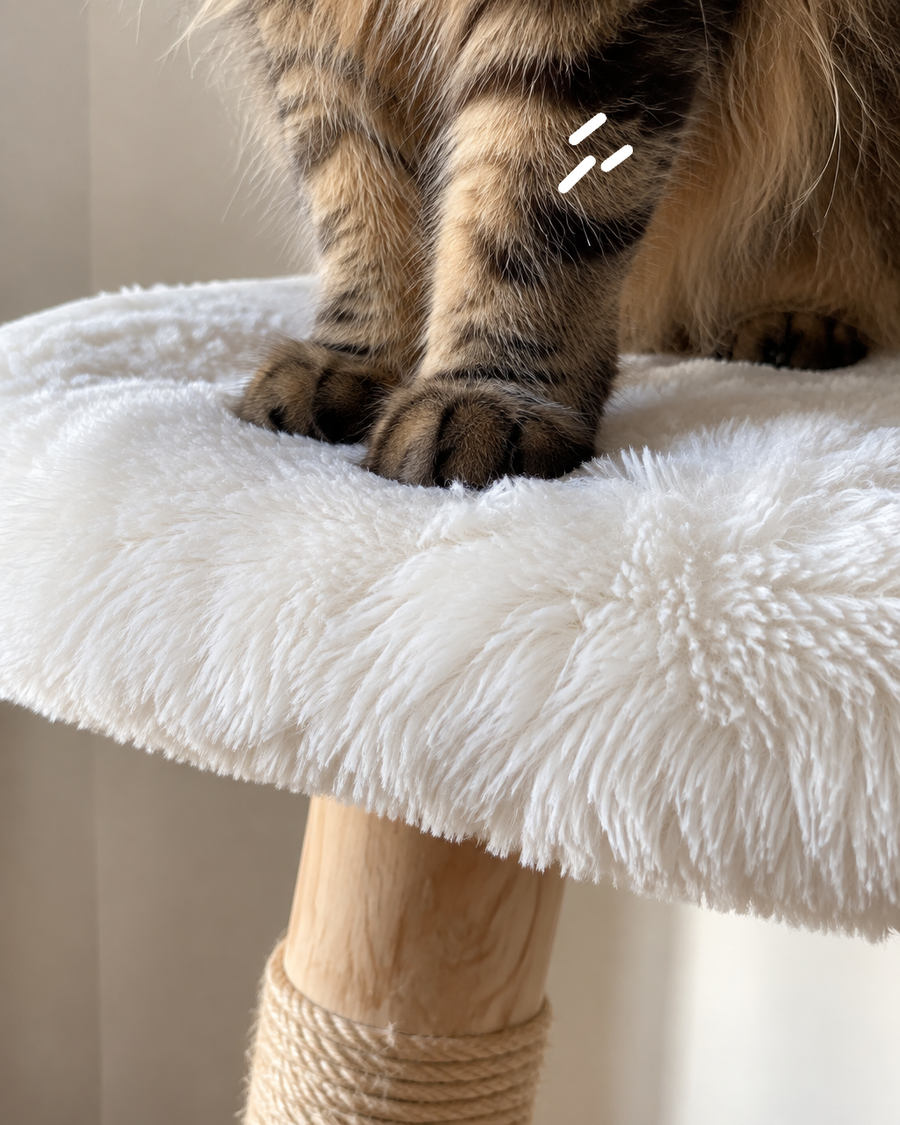 Il va s'effondrer sous le poids du chat. · army green — arbre a chat de luxe