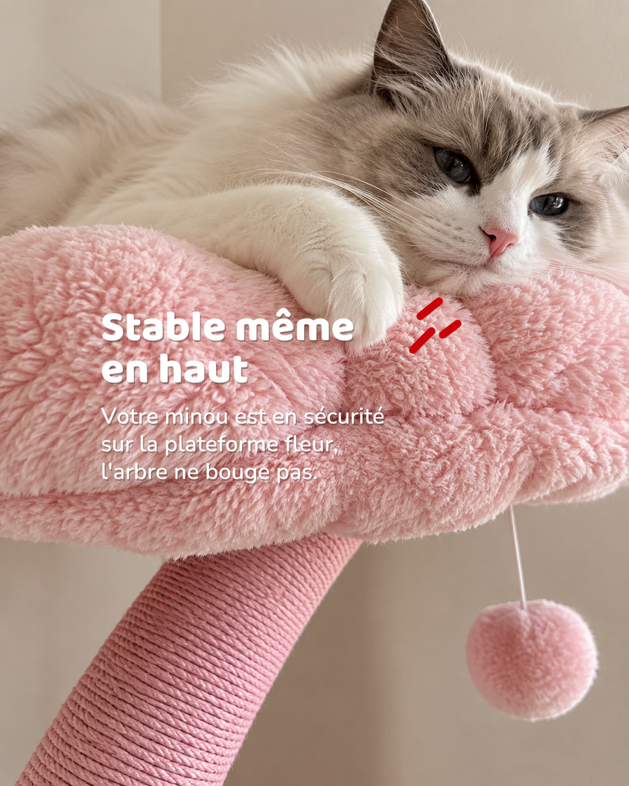 Stable même en haut — arbre a chat rose