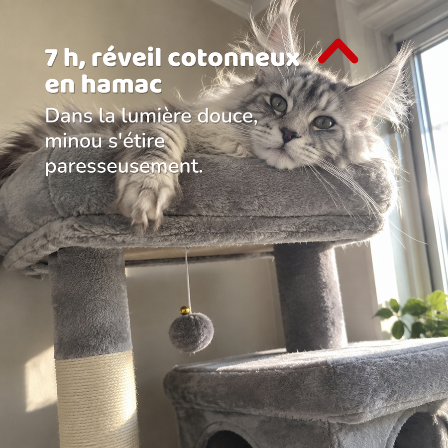 7 h, réveil cotonneux en hamac — arbre à chat xxl pour maine coon
