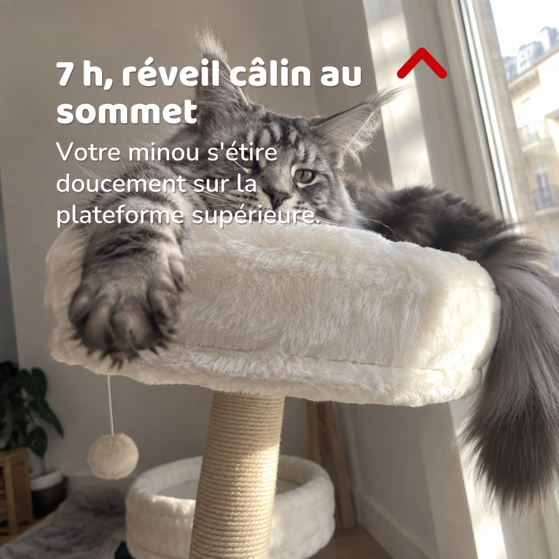 Arbre à chat design scandinave