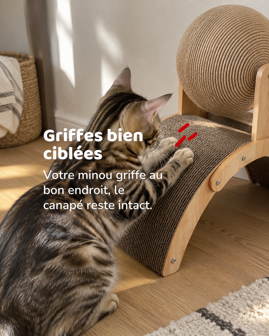 Griffes bien ciblées — Griffoir chat original