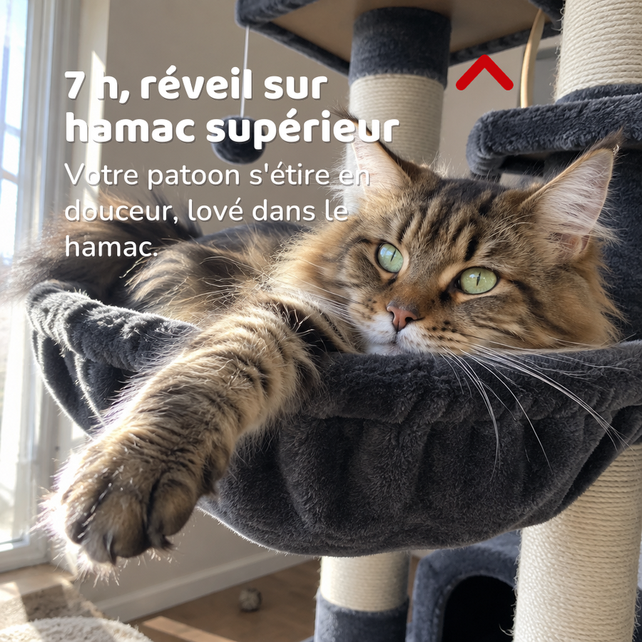 7 h, réveil sur hamac supérieur — grand arbre à chats