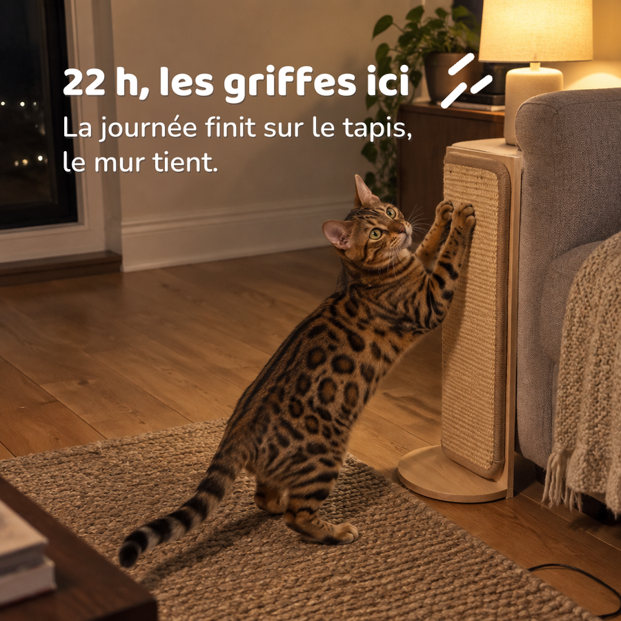 22 h, les griffes ici — Griffoir d'angle à poser