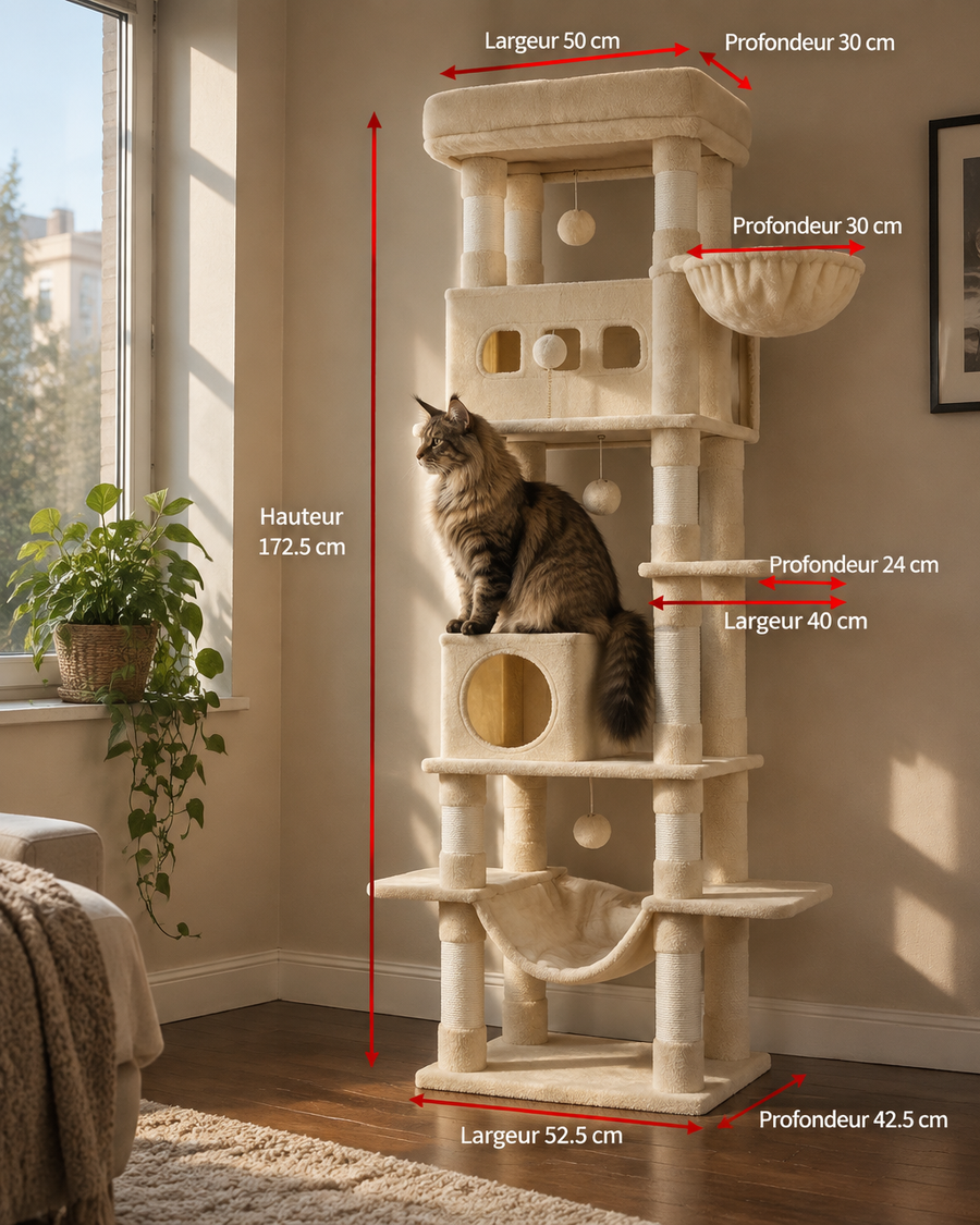 Photo · 6 — chat gros gabarit arbre a chat maine coon