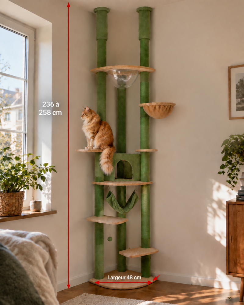 Variante · AMT0119GN / XL / spain — arbre a chat d angle