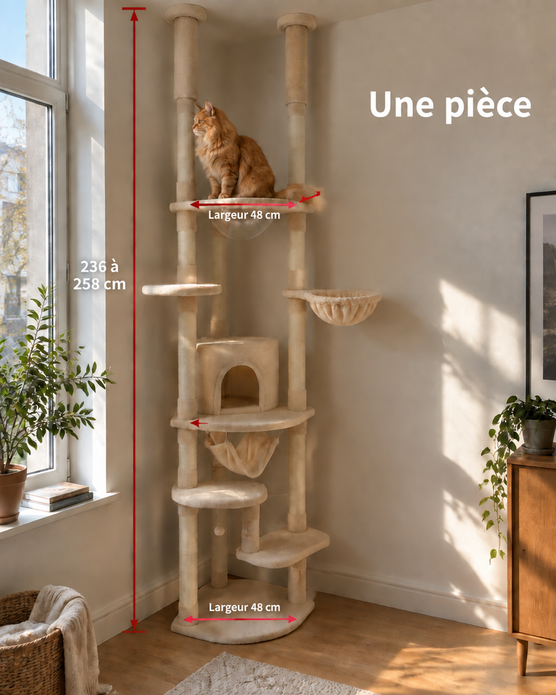 Variante · AMT0119BG-HW / XL / spain — arbre a chat d angle