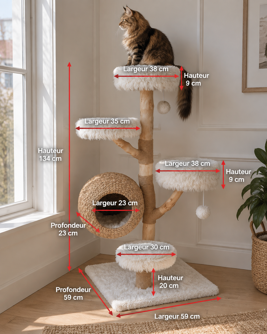 Photo · 5 — arbre a chat de luxe