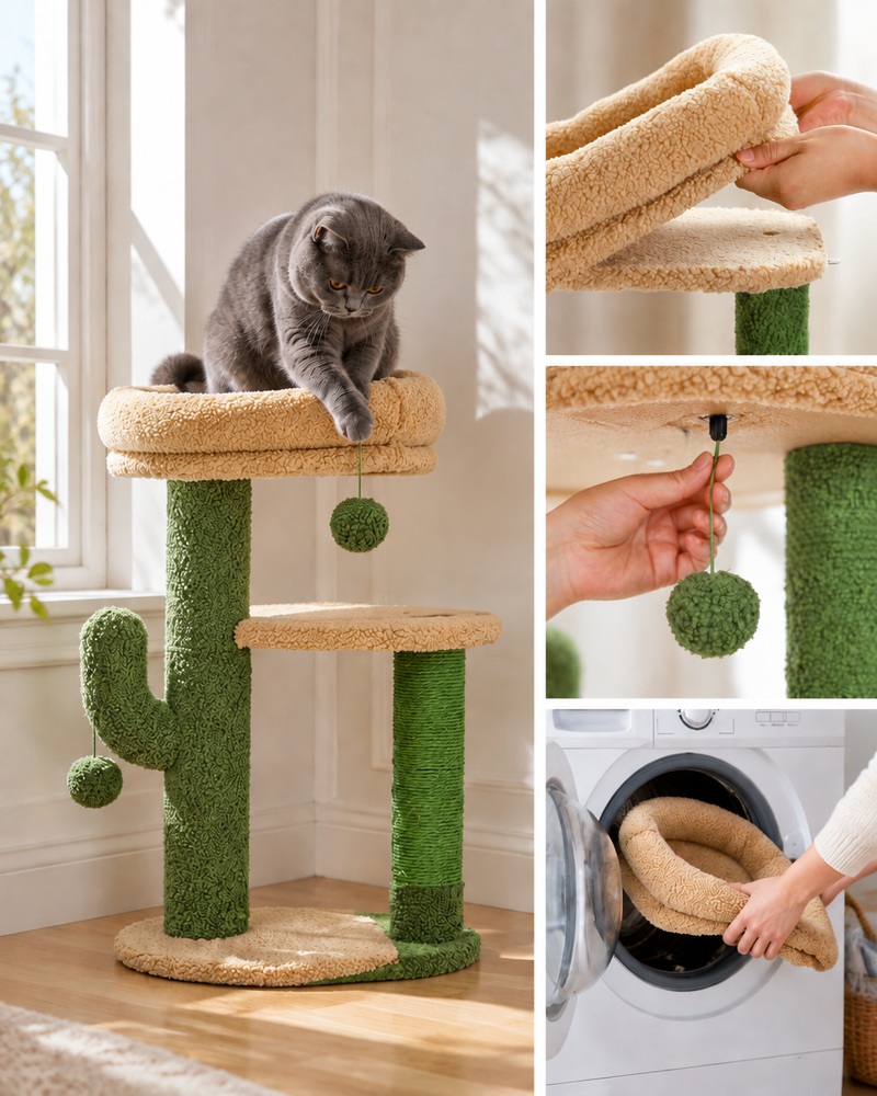 Photo · 4 — arbre a chat cactus