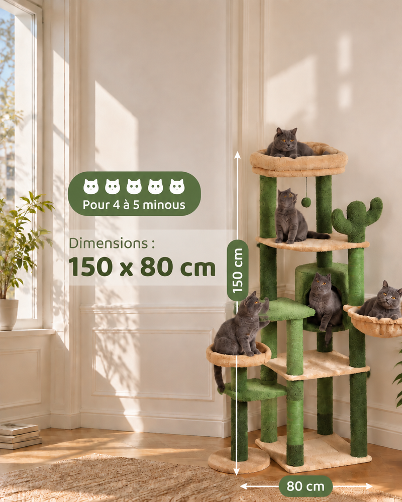 Photo · 2 — arbre a chat cactus