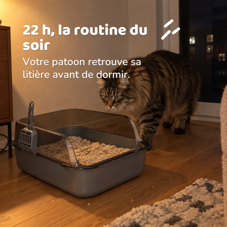 22 h, la routine du soir — petite litiere chaton