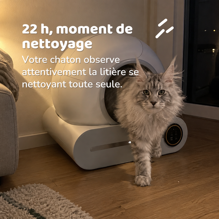 22 h, moment de nettoyage — litière auto