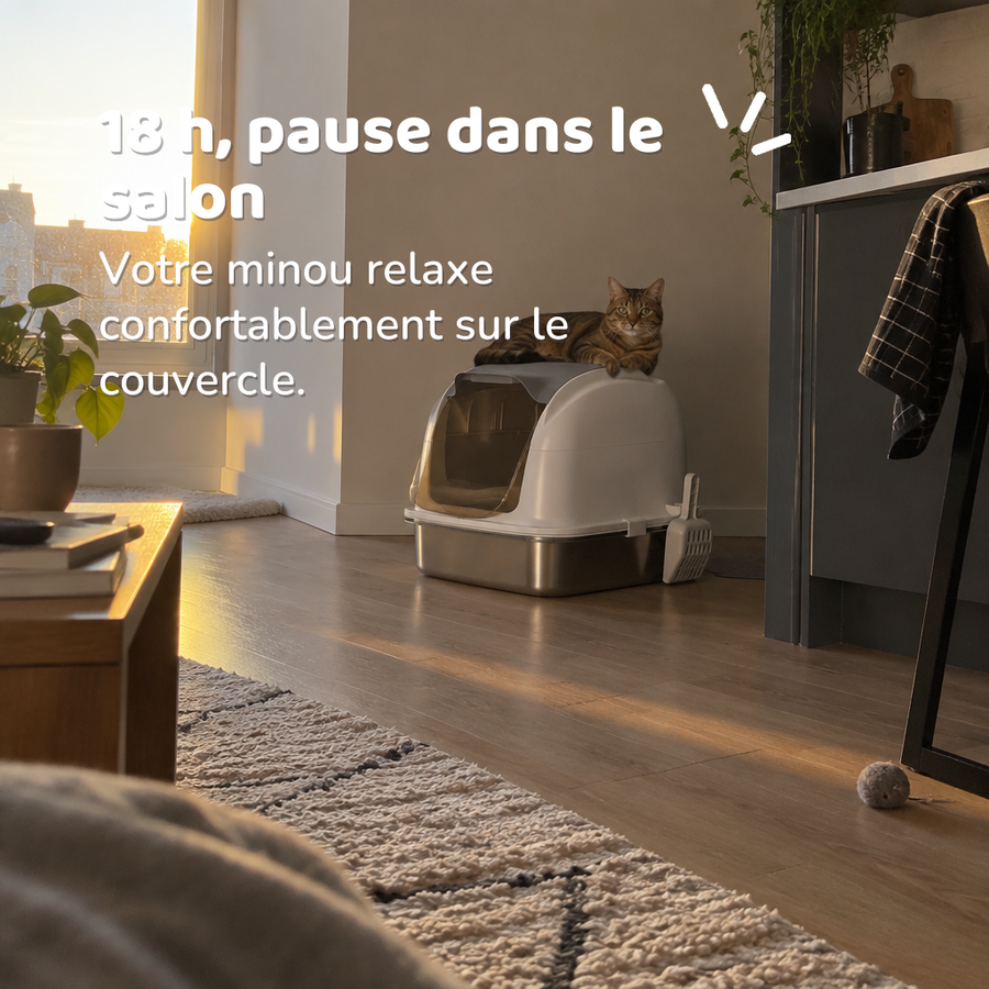 18 h, pause dans le salon — bac litiere chat petite largeur