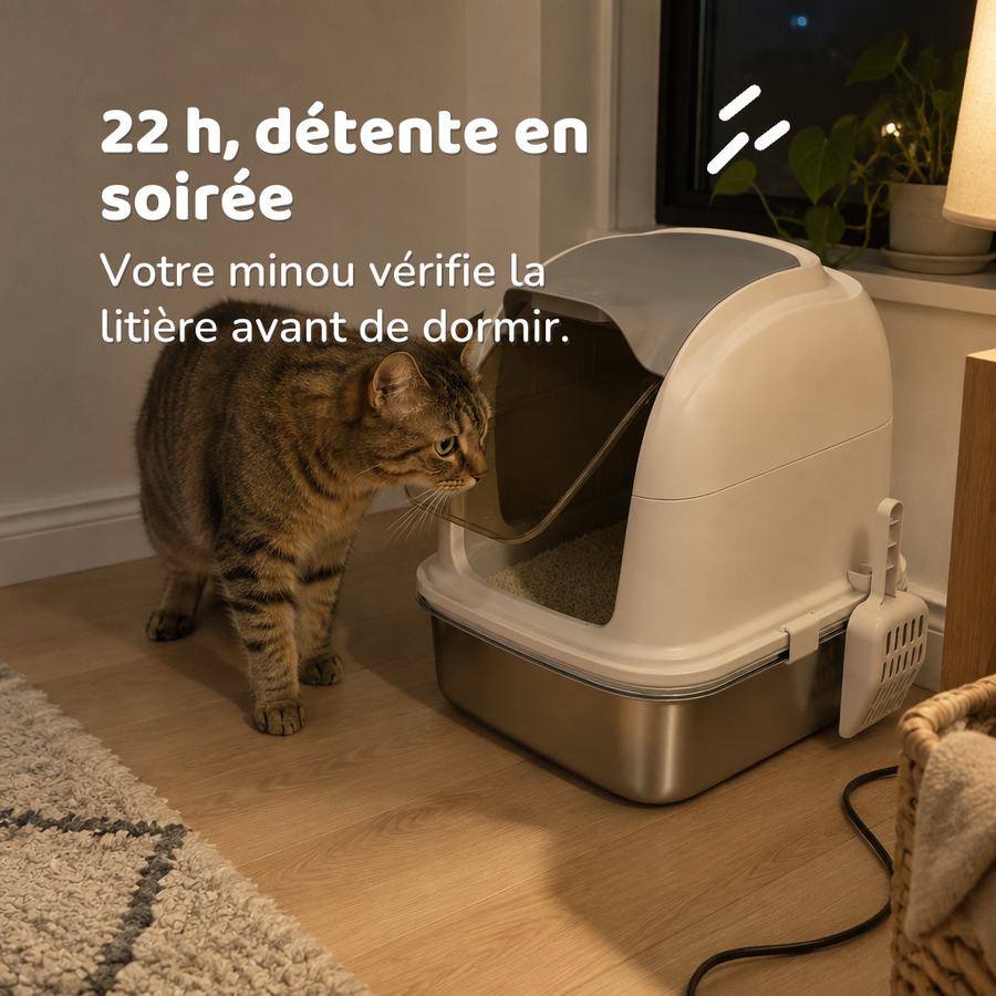 22 h, détente en soirée — bac litiere chat petite largeur