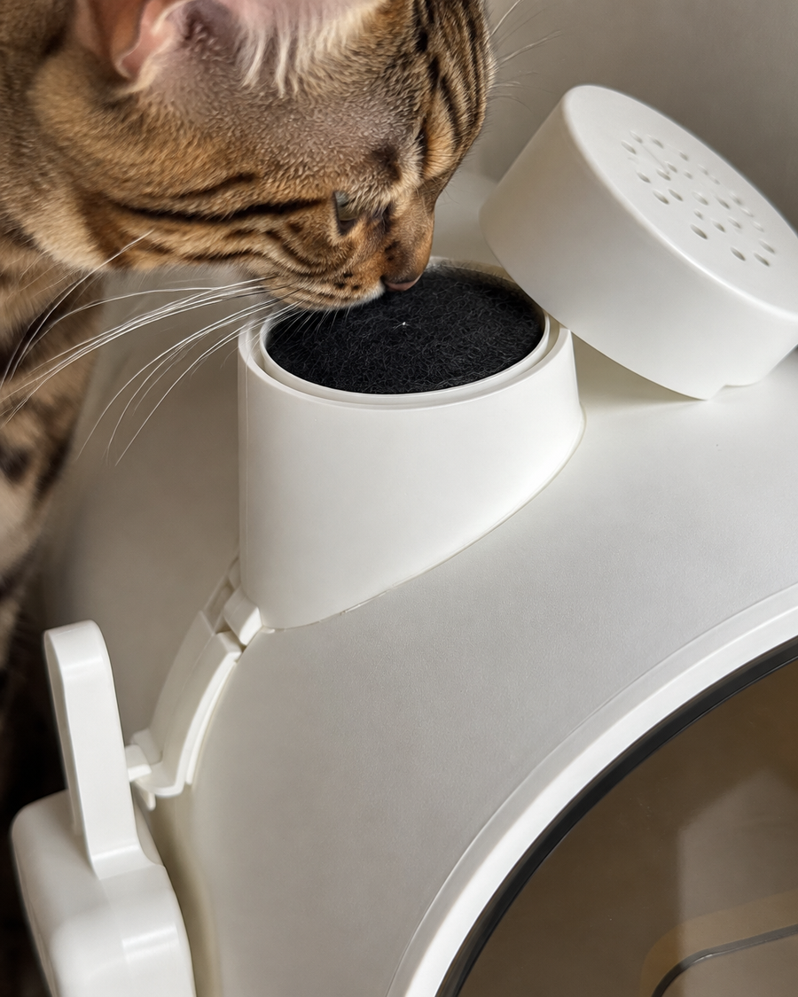 L'odeur va rester. · White — Maison de toilette pour chat design