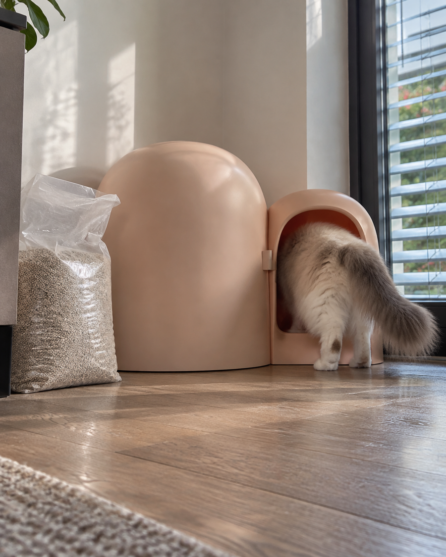Le sac ne dure pas. · Milk tea color — Litiere igloo