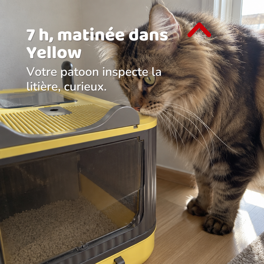 7 h, matinée dans Yellow — Litière chat fermée anti odeur