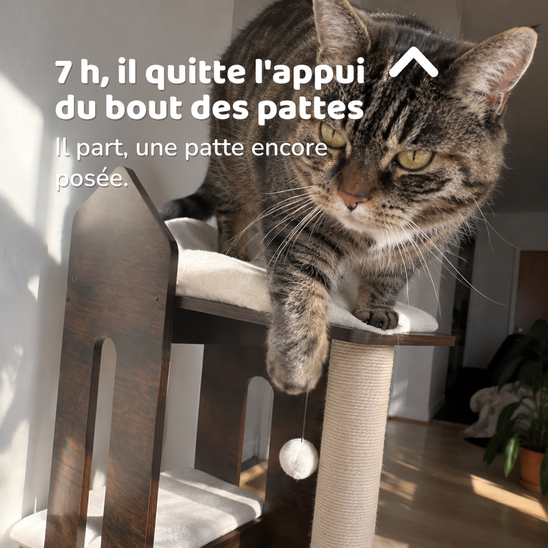 Arbre a chat de luxe bois
