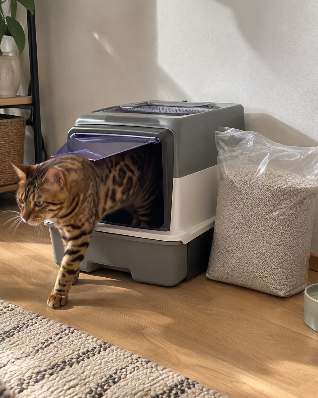 Le sac ne dure pas. · Whale ash-UV lamp — Maison de toilette chaton