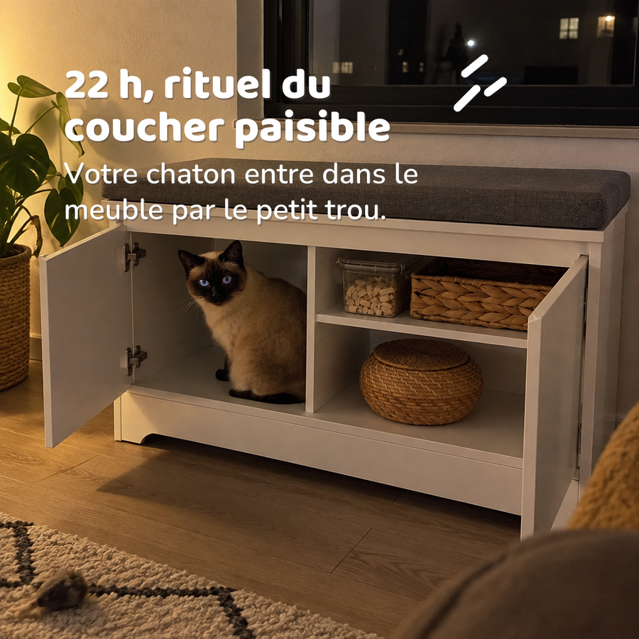 22 h, rituel du coucher paisible — banc de toilette pour chat