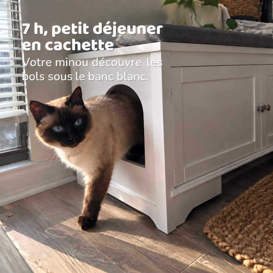 7 h, petit déjeuner en cachette — banc de toilette pour chat